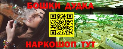 индика Коммунар