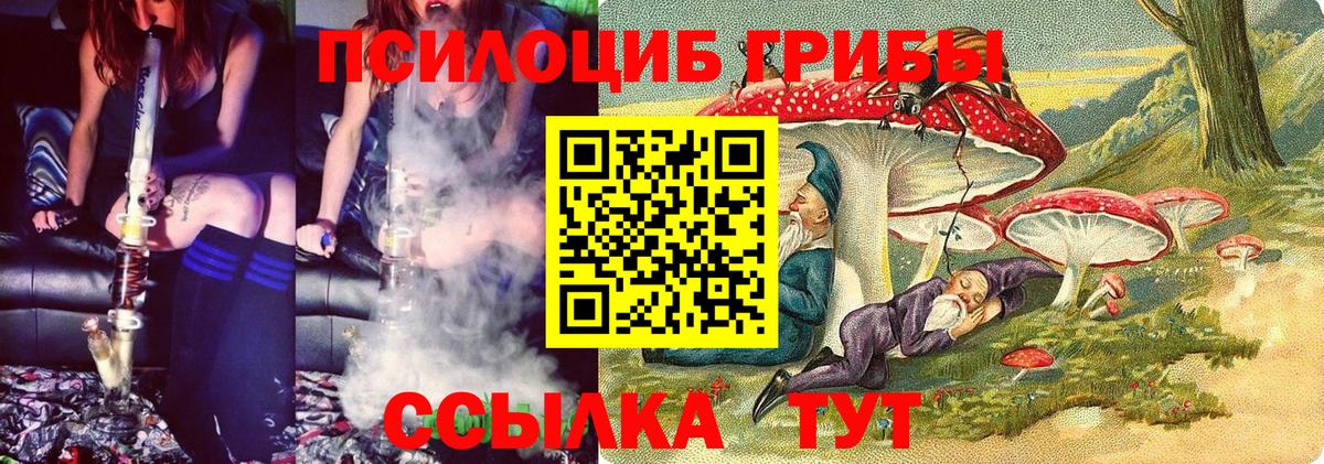 Псилоцибиновые грибы прущие грибы  Вход с VPN  как найти закладки  Кировск 